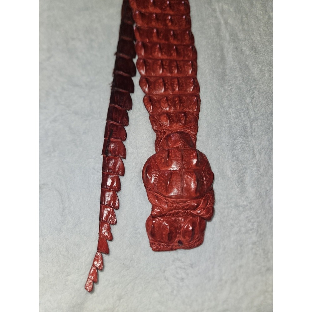 Vintage Caiman Hornback Belt Exotic Western Leather Taxidermy Red Alligatoridae - Picture 2 of 16